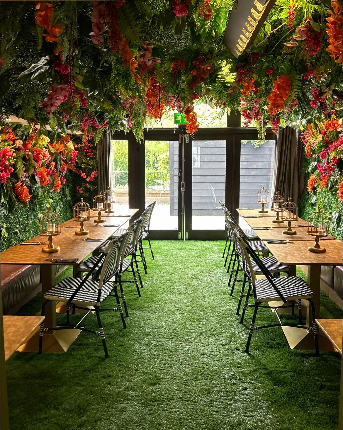 Rainforest Room