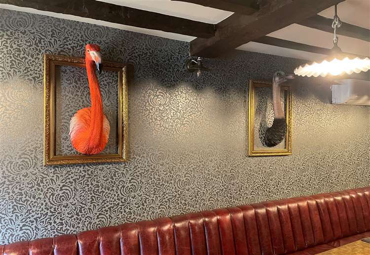Downstairs Area