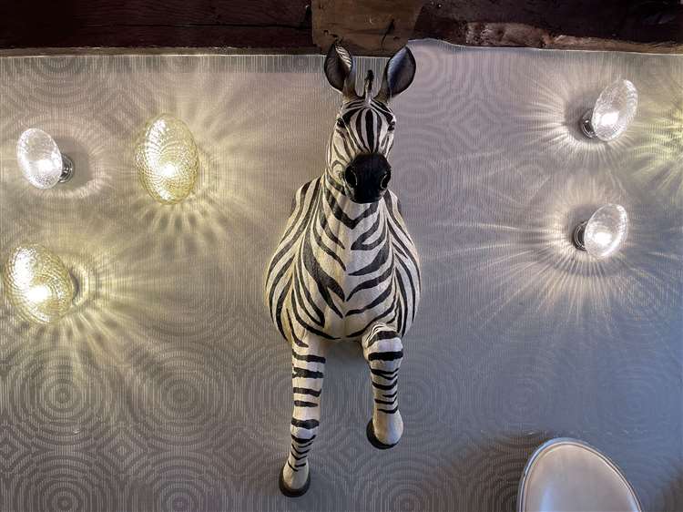 Zebra Room